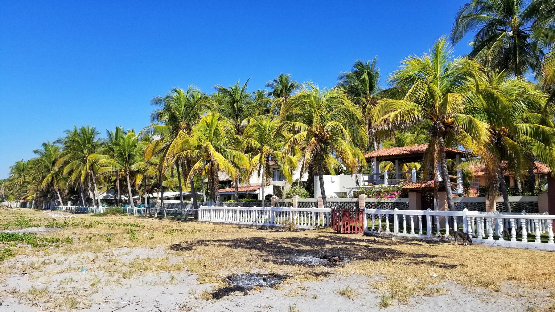 Beach Day at La Libertad - Desired Tastes