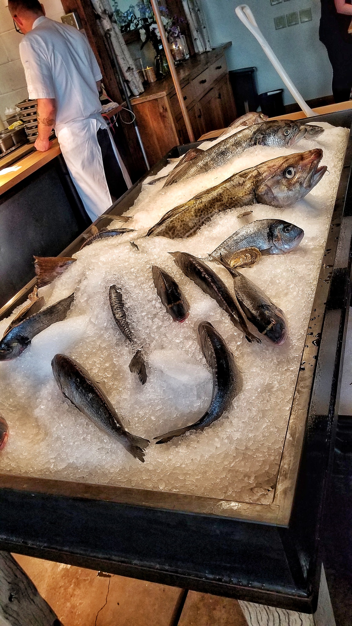 Leaving Maine Scales Restaurant Desired Tastes